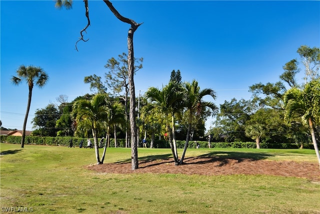 view of home's community featuring a lawn