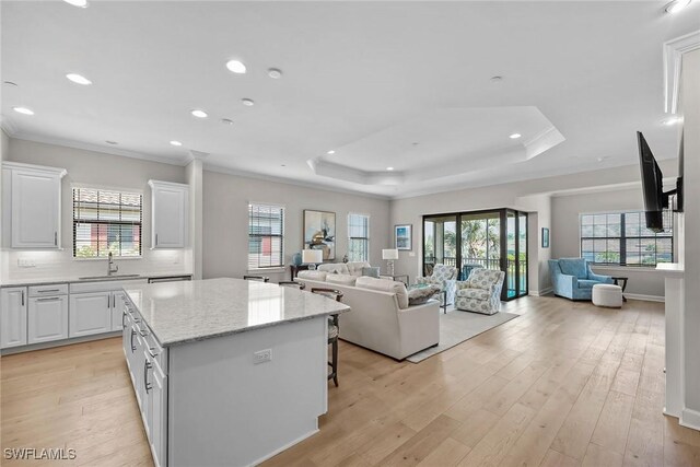 living room featuring light hardwood / wood-style floors, ornamental molding, sink, and plenty of natural light