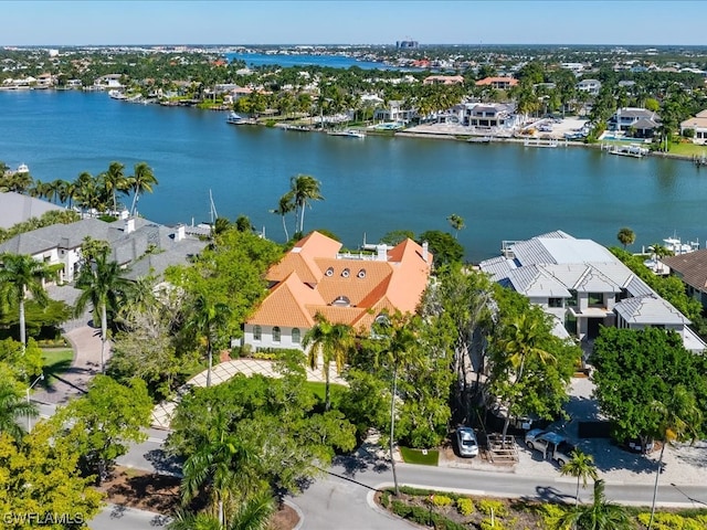 aerial view with a water view