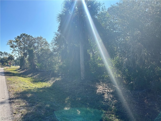 26129 Flower Rd, Punta Gorda FL, 33955 land for sale