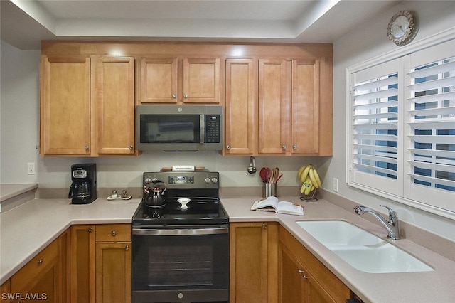 kitchen featuring appliances with stainless steel finishes, sink, and a tray ceiling