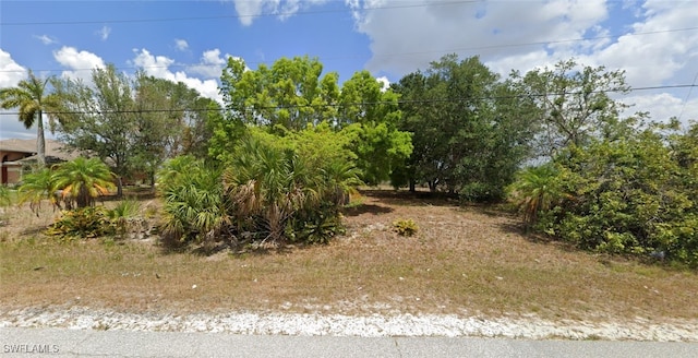 Listing photo 2 for 1627 NW 7th Ter, Cape Coral FL 33993