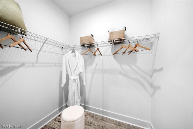 walk in closet featuring hardwood / wood-style flooring