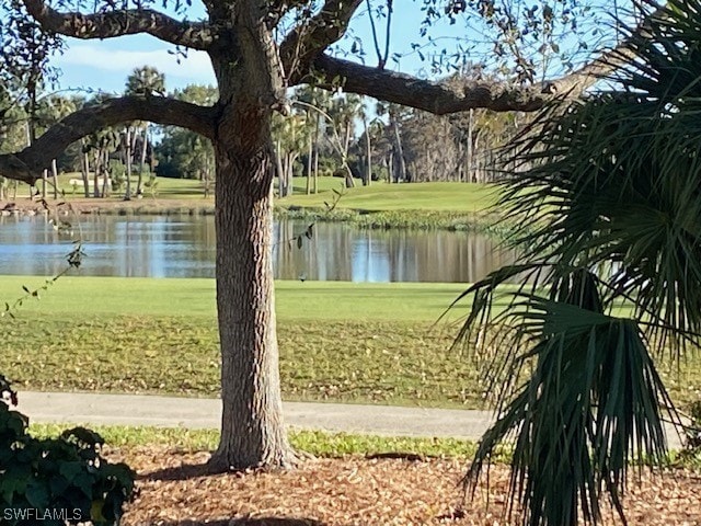 view of property's community featuring a water view and a lawn