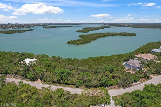 Listing photo 2 for 1181 Blue Hill Creek Dr, Marco Island FL 34145