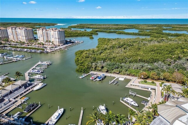 drone / aerial view with a water view