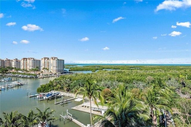 birds eye view of property with a water view