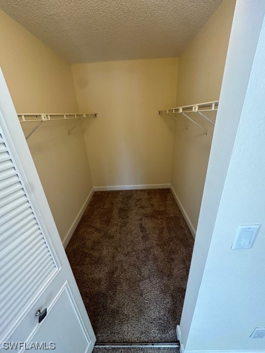 walk in closet with dark carpet