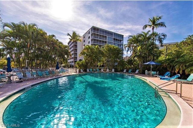 view of pool with a patio area