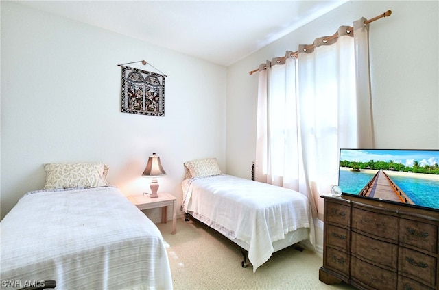 bedroom featuring light colored carpet