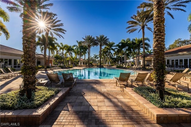 view of swimming pool featuring a patio