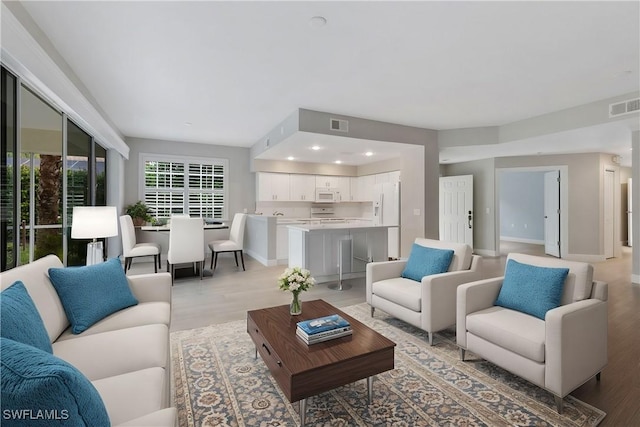 living room featuring light hardwood / wood-style flooring