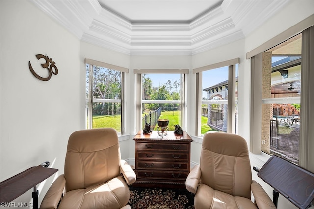 sunroom featuring plenty of natural light and a raised ceiling