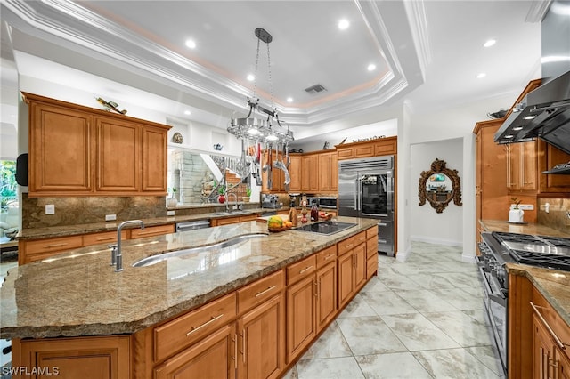 kitchen featuring premium appliances, an island with sink, backsplash, a tray ceiling, and island exhaust hood