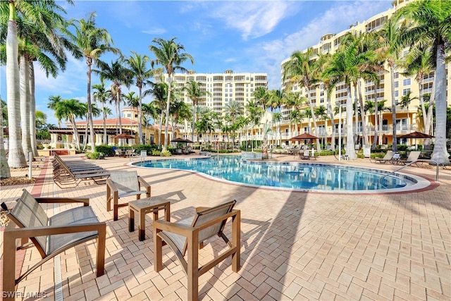 view of pool with a patio