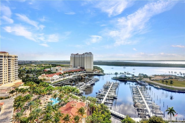 aerial view with a water view