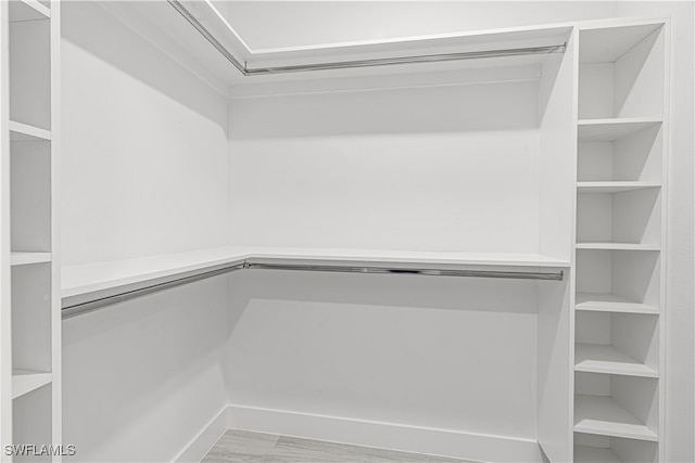 spacious closet featuring hardwood / wood-style flooring