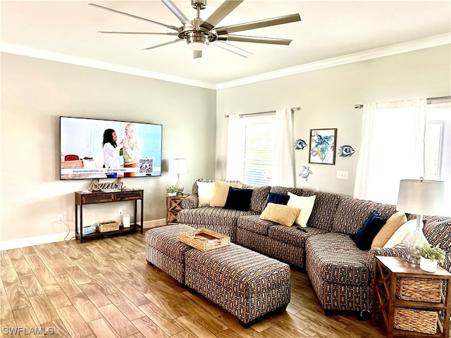 living room featuring ornamental molding, ceiling fan, and light wood-type flooring