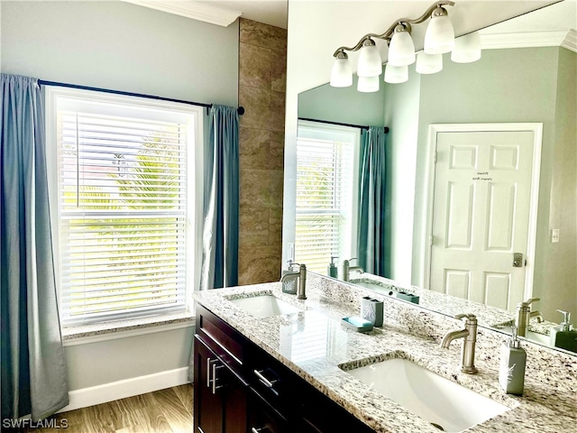 bathroom featuring plenty of natural light, ornamental molding, and dual bowl vanity