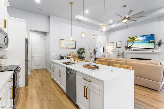 kitchen featuring light hardwood / wood-style floors, appliances with stainless steel finishes, a tray ceiling, and ceiling fan