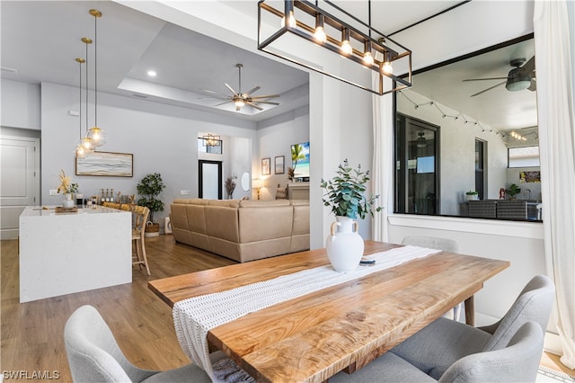 dining area featuring a raised ceiling, dark hardwood / wood-style floors, and ceiling fan