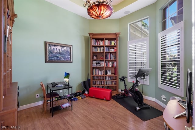 workout room featuring hardwood / wood-style floors