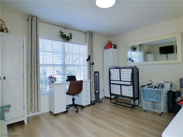 office featuring light hardwood / wood-style floors