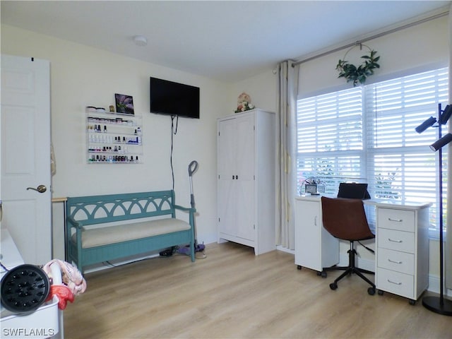 home office featuring light hardwood / wood-style flooring