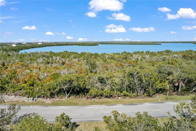 1023 Blue Hill Creek Dr, Marco Island FL, 34145 land for sale