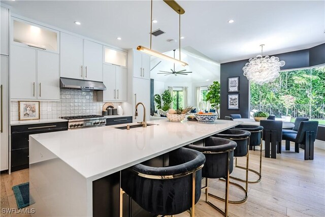 kitchen featuring visible vents, under cabinet range hood, a sink, tasteful backsplash, and range