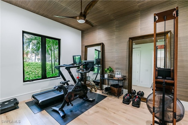 exercise area with ceiling fan and wood finished floors