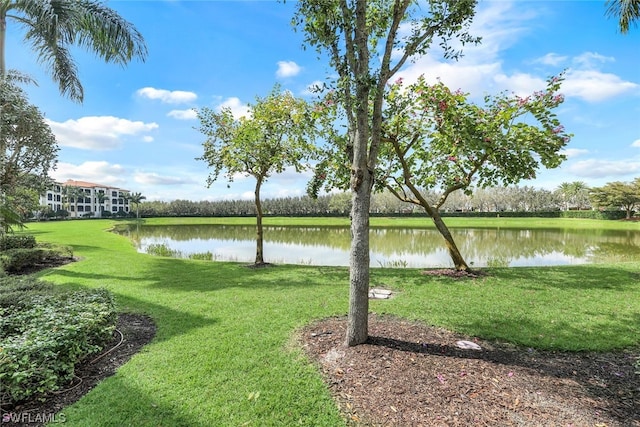 view of yard featuring a water view