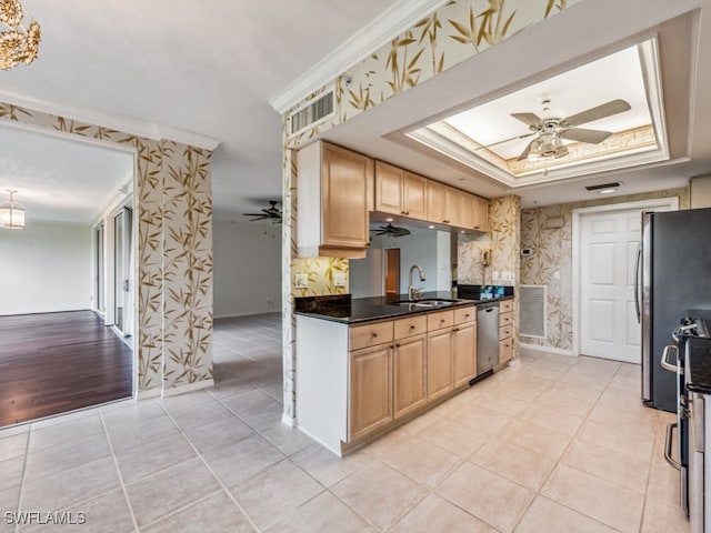 kitchen featuring a tray ceiling, sink, appliances with stainless steel finishes, and light hardwood / wood-style flooring