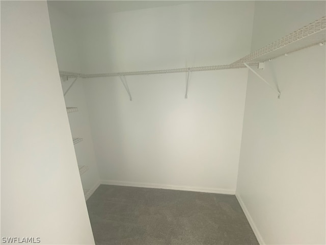 walk in closet with carpet