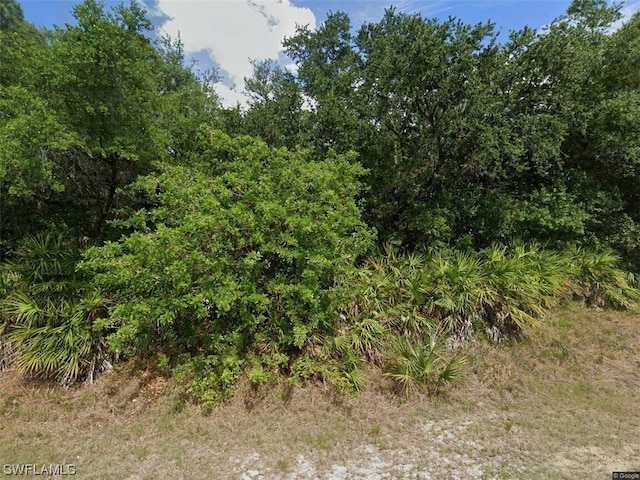 410 Broadway Ave, Lehigh Acres FL, 33972 land for sale