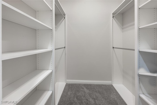 walk in closet with carpet floors