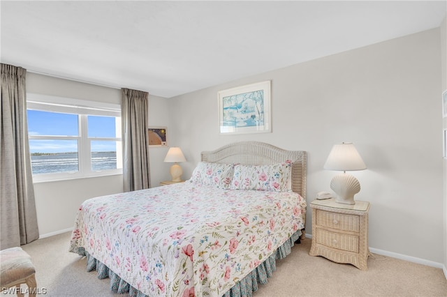 carpeted bedroom with a water view