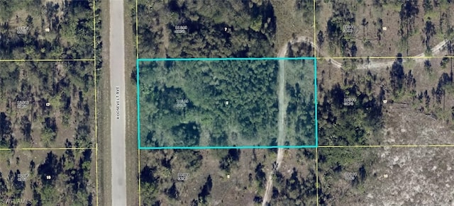 1108 Roosevelt Ave, Lehigh Acres FL, 33936 land for sale