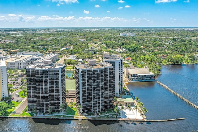 bird's eye view with a water view