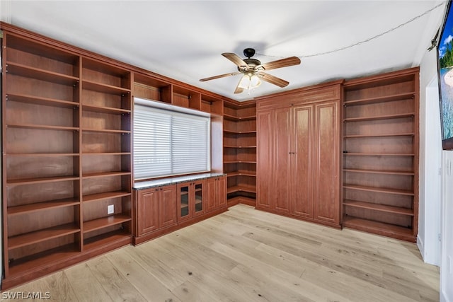 unfurnished office featuring ceiling fan and light hardwood / wood-style floors