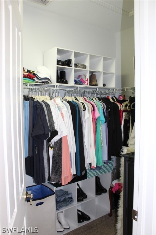 spacious closet with carpet flooring