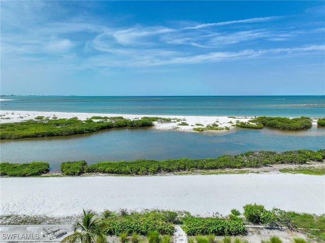 view of water feature with a beach view