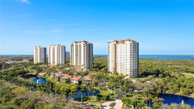 aerial view with a water view