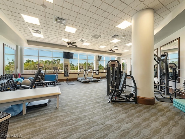 gym featuring ceiling fan, carpet floors, and a drop ceiling