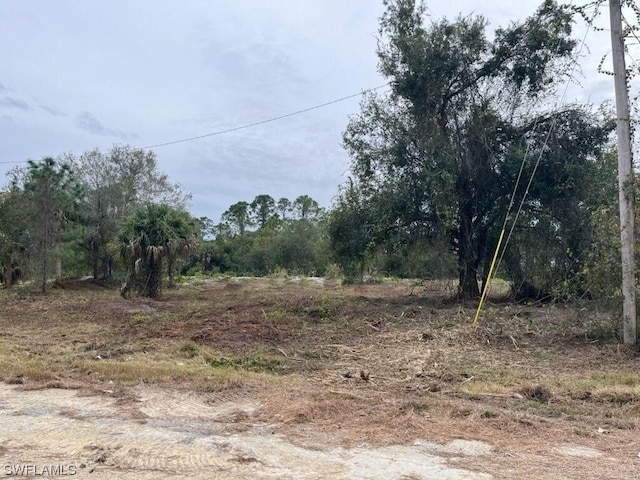 162 Auburn Ave S, Lehigh Acres FL, 33974 land for sale