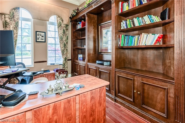 office area featuring a healthy amount of sunlight and light hardwood / wood-style flooring