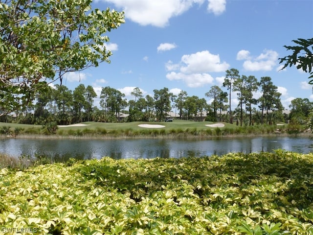 property view of water