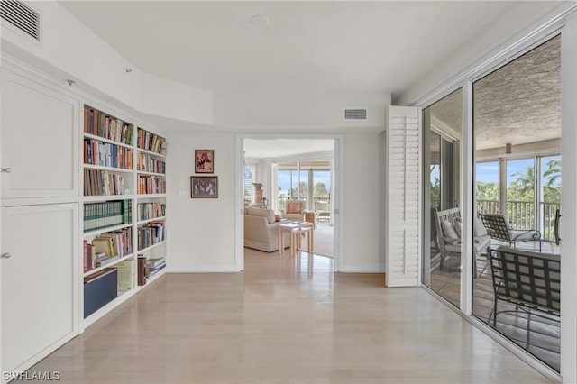 hallway with plenty of natural light