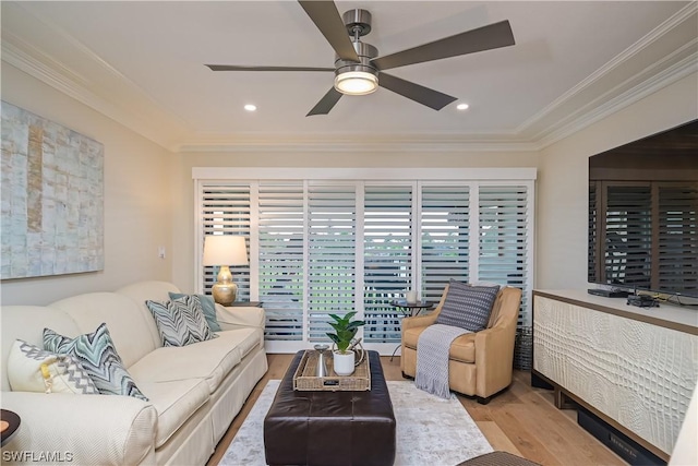 living room featuring ceiling fan, ornamental molding, and light wood-type flooring