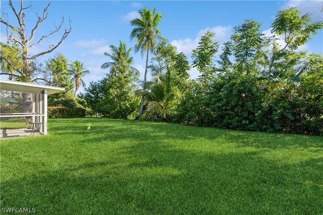 view of yard featuring a sunroom